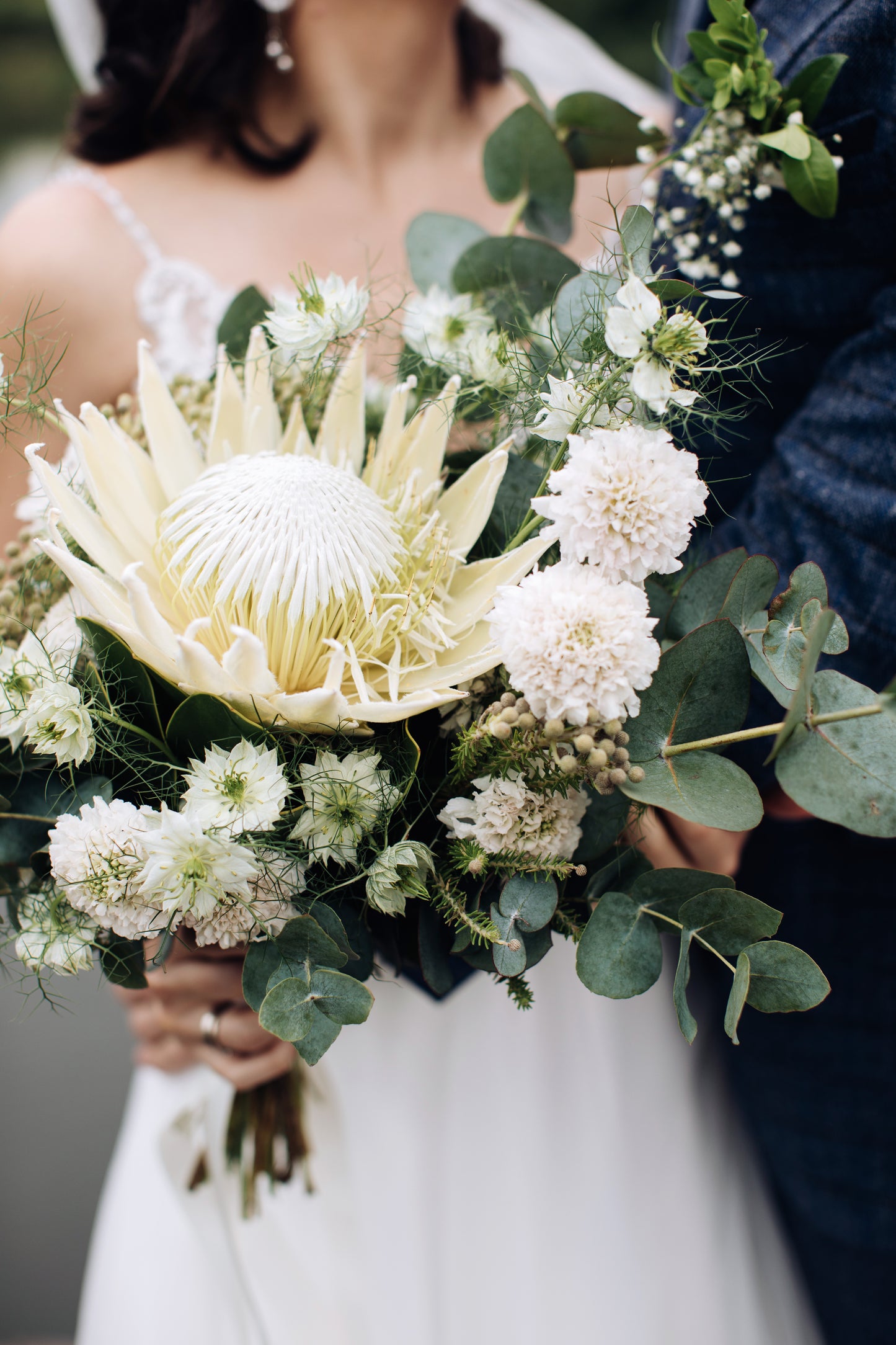 King White – Protea Cynaroides